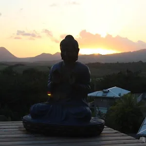 Buddha Bleu , Sainte-Luce Martinique